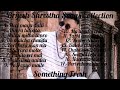 Brijesh Shrestha Songs Collection