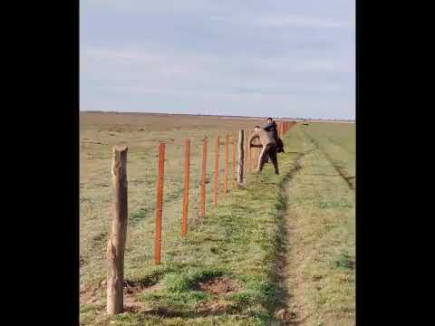 Alambrador medanos con Rodrigo coco jesús Gustavo