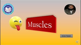 Download Lagu Muscles- Contractile tissues | Histology/Physiology | by Imran Yaseen Thumbnail