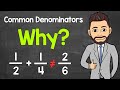 Why Do We Need a Common Denominator When Adding and Subtracting Fractions? | Math with Mr. J