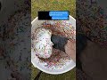 If You Broke Just Say Textingstory Textfails Funnytexts Funnymessages