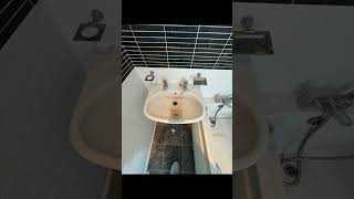 Album cover: Restorative cleanings