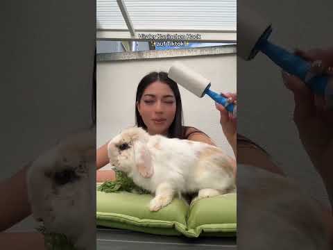 Do you have rabbits too? 🥰