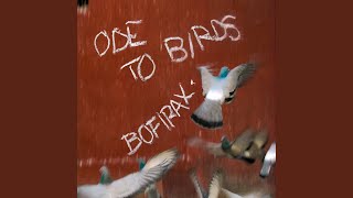 Ode To Birds
