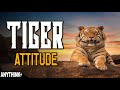 Tiger Mentality - Powerful Motivational Speech