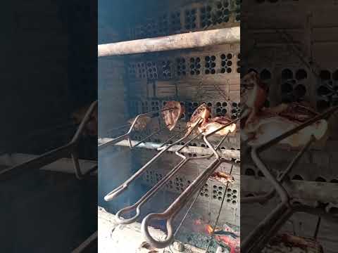 4 de novembro de 2025