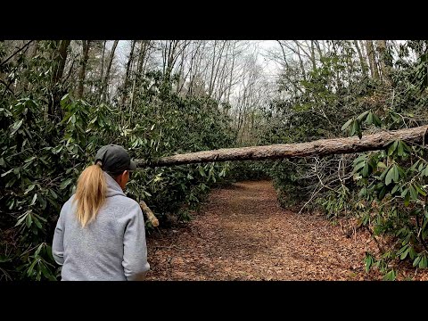 Blue Ridge Bigfoot - Bottom Creek Gorge