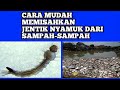 Terlengkap Cara Mudah Membersihkan Jentik Jentik Dari Sampah Sampah, Terupdate!