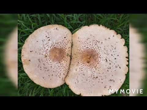 GEOGRAFIE GRAAD 10 HOOFSTUK 5 EENHEID 19