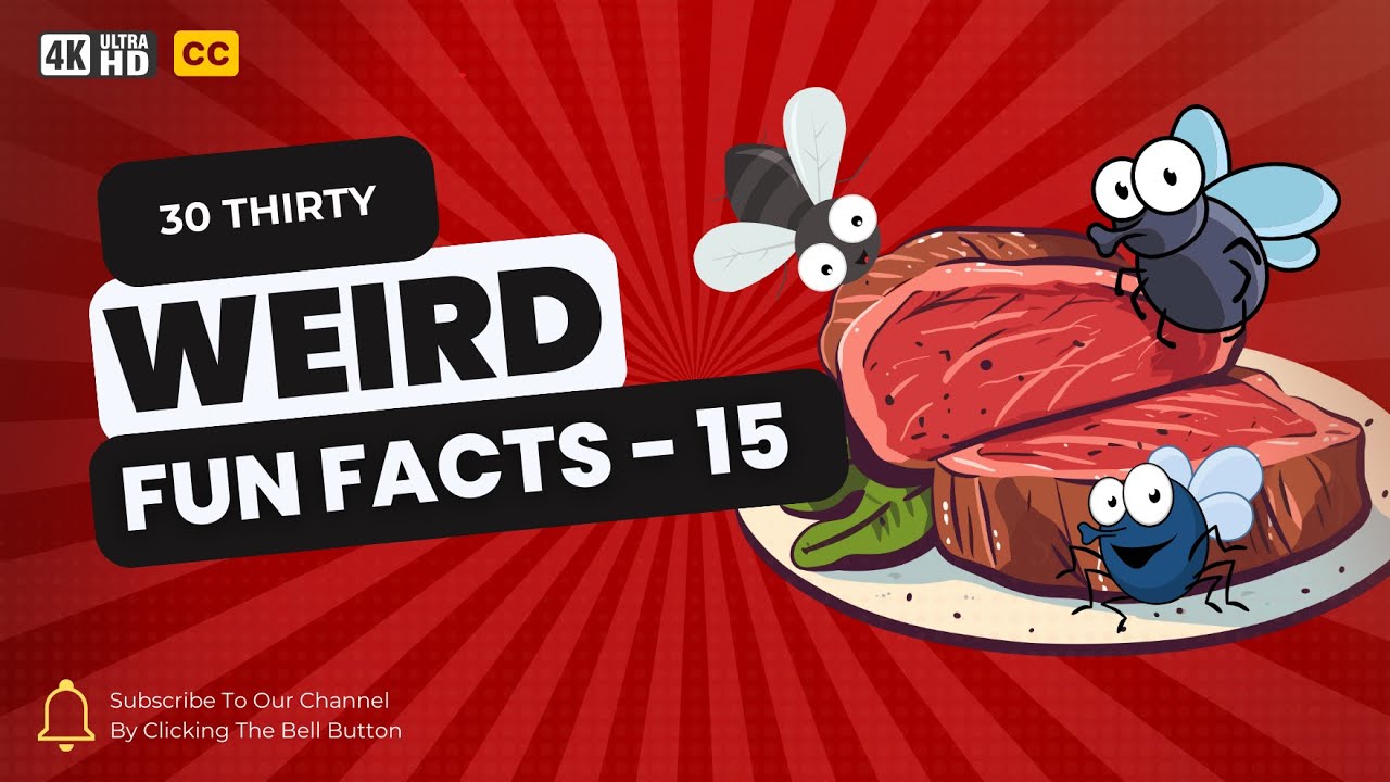 30 Weird Fun Facts You Won't Believe Are Real | Part 15 | Random Facts | Shocking Truths | Show Reel