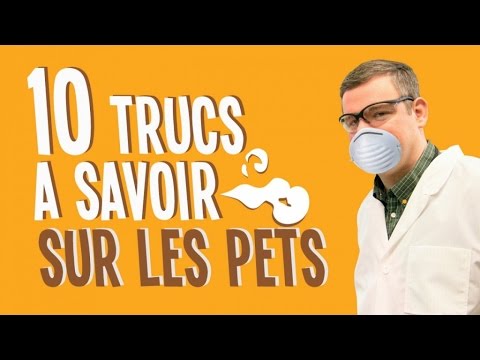 Top 10 des trucs à savoir sur les pets