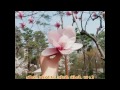 Cao Lu - Spring Again (Karaoke Version) [Feat. Kisum & Yerin]