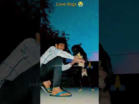 Love dogs 😭 at every time 🙏 #viral #dog #dogs