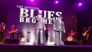 The Blues Brothers Revue - Do You Love Me