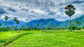 One-Day Escape: Ride 100KM from the City to Nature & Enjoy a Simple Dinner