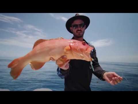 NOMAD DESIGN FISH SKOOL- Slow Pitch Jigging - Finding Fish and Structure