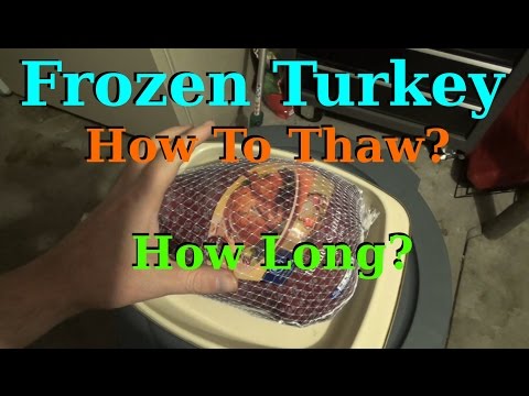 download lagu mp3 mp4 How Long Does It Take For A Turkey To Defrost, download lagu How Long Does It Take For A Turkey To Defrost gratis, unduh video klip How Long Does It Take For A Turkey To Defrost