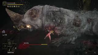 [閒聊] 法環 失禮劍Glitch