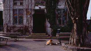 Leif Vollebekk - Spanish Harlem Incident