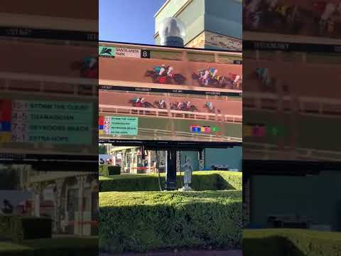 Part #6 Santa Anita park Japanese Festival and Horse races. 🐎 🏇🇯🇵🎌