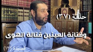 كرسي المتنبي (شرح ديوان المتنبي) - حلقة (٣٧) - أيمن العتوم image