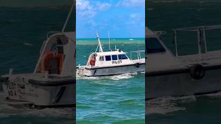 Pilot 🛟 #like #share #subscribe #comment #shortsvideo #youtubeshorts #cruise #vacation #shorts #fun
