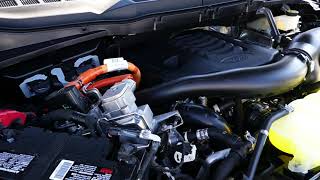 New 2021 Ford F-150 Truck - How To Open The Hood & Access Engine Bay - Release Lever Location