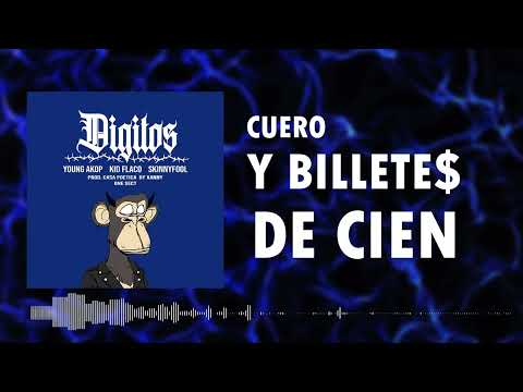 Digitos - Kid Flaco x Young Akop x Skinny Fool (Video Lyrics)