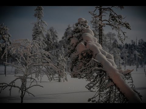 Ennätykset ja pakkanen paukkuu