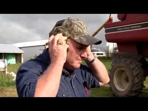 The Peace and Not So Quiet on the Farm