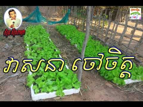 veasna chao chet by samuth,វាសនាចៅចិត្ត ស៊ិន ស៊ីសាមុត, Best old song collection