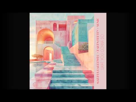 Markus Gardeweg x Hagen Feetly x Sunic - What You Gonna Do