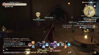 【PS版FF14初心者】光のこどおじ　🔰の館に乗り込む
