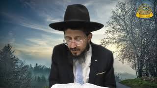 פרשה בדיוק | קריאת פרשת ראה עם הארות לקריאה נכונה | הרב אמיר דאדוונד