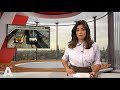 AT5 Nieuws over ov-staking
