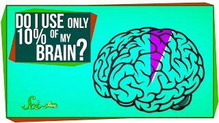 Do I Only Use 10% of My Brain?