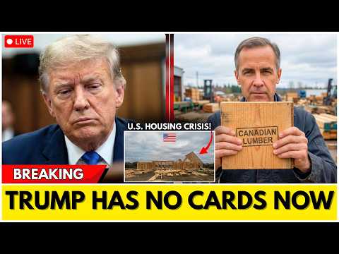 1 MIN AGO: Canada SLAMS U.S. With RECORD Lumber Tariffs — U.S. Housing Market in CRISIS!