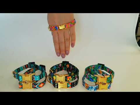 Нашийник для Собак BronzeDog Urban Нейлоновий з Металевою Пряжкою Золотистого Колір Інки