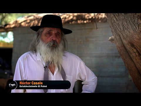 266 Homenaje a Héctor Casale Q.E.P.D. (San Luis) - Estancias y Tradiciones