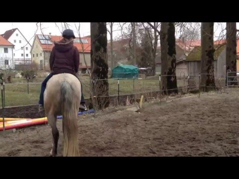 Airosa Anreiten Lena 12 03 2016