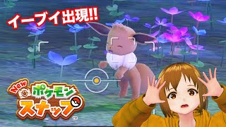 イルミナポケモン調査に苦戦… | はぐのまったり「Newポケモンスナップ」#6