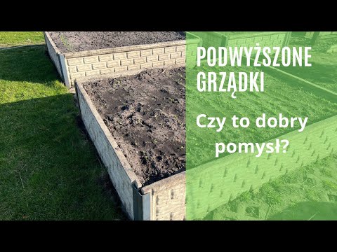 Podwyższone grządki po kilku latach uprawy warzyw. Problemy …