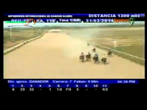 RANCHO ALEGRE 7 CARRERA LUNES 31 DE MARZO DEL 2014