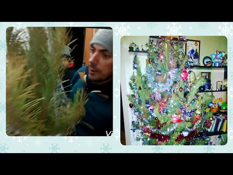 Украсили ёлку 🎄 Ёлка как в СССР / Новый год / Christmas tree 🎄