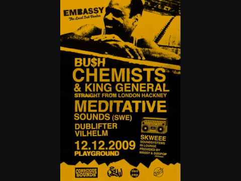 Bush Chemists feat. King General live in Finland 2009
