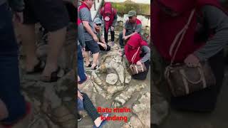 Download lagu batu malin kundang jadi tempat wisata,viral mp3 Download lagu batu malin kundang jadi tempat wisata,viral mp3