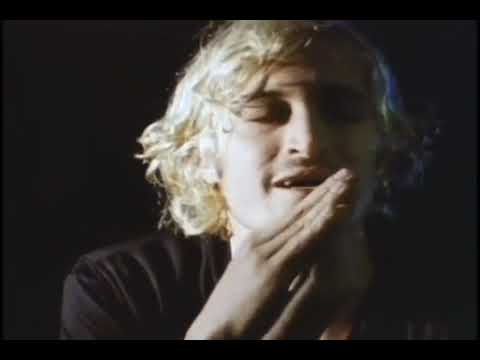 Vincent Gallo childhood interview ( Perfect Moment (1997 documentary)