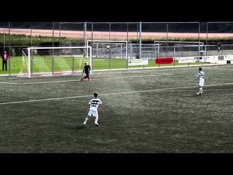 Scharn C1 SHH C1  0-1  S1314 Samenvatting