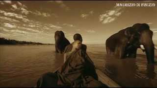 Pino Daniele Se tu fossi qui