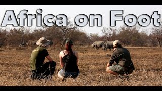 preview picture of video 'Africa on Foot - Klaserie Private Nature Reserve, South Africa'